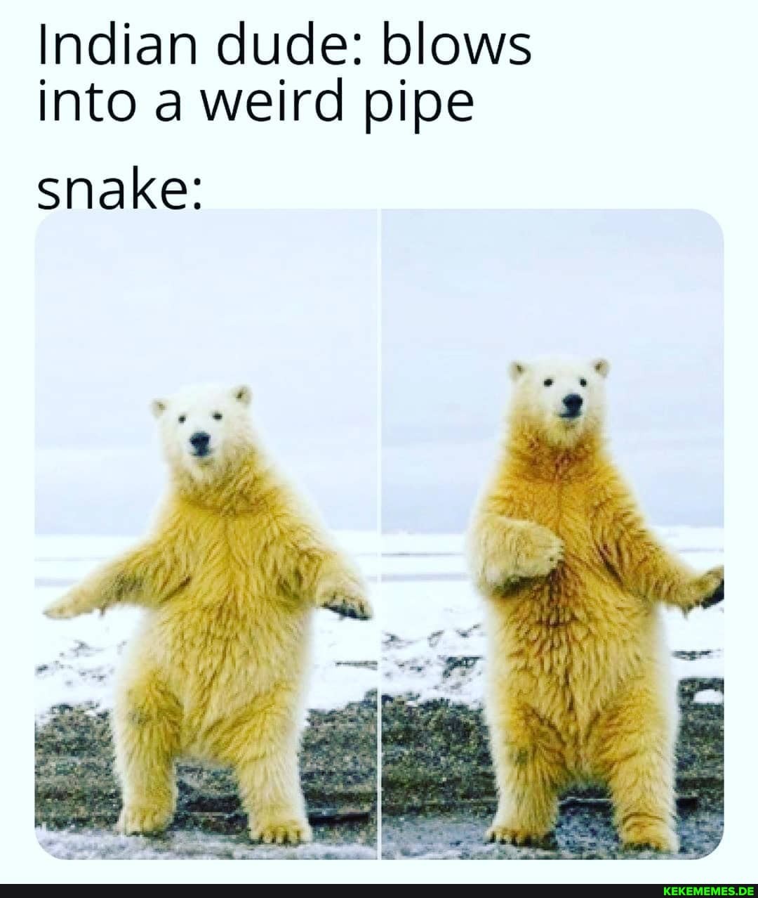 Indian dude: blows into a weird pipe
Snake: