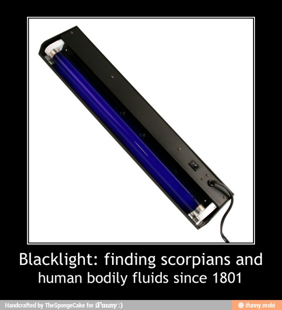 Blacklight: finding scorpians and
human bodily fluids since 1801 - Blacklight: finding scorpians and
human bodily fluids since 1801