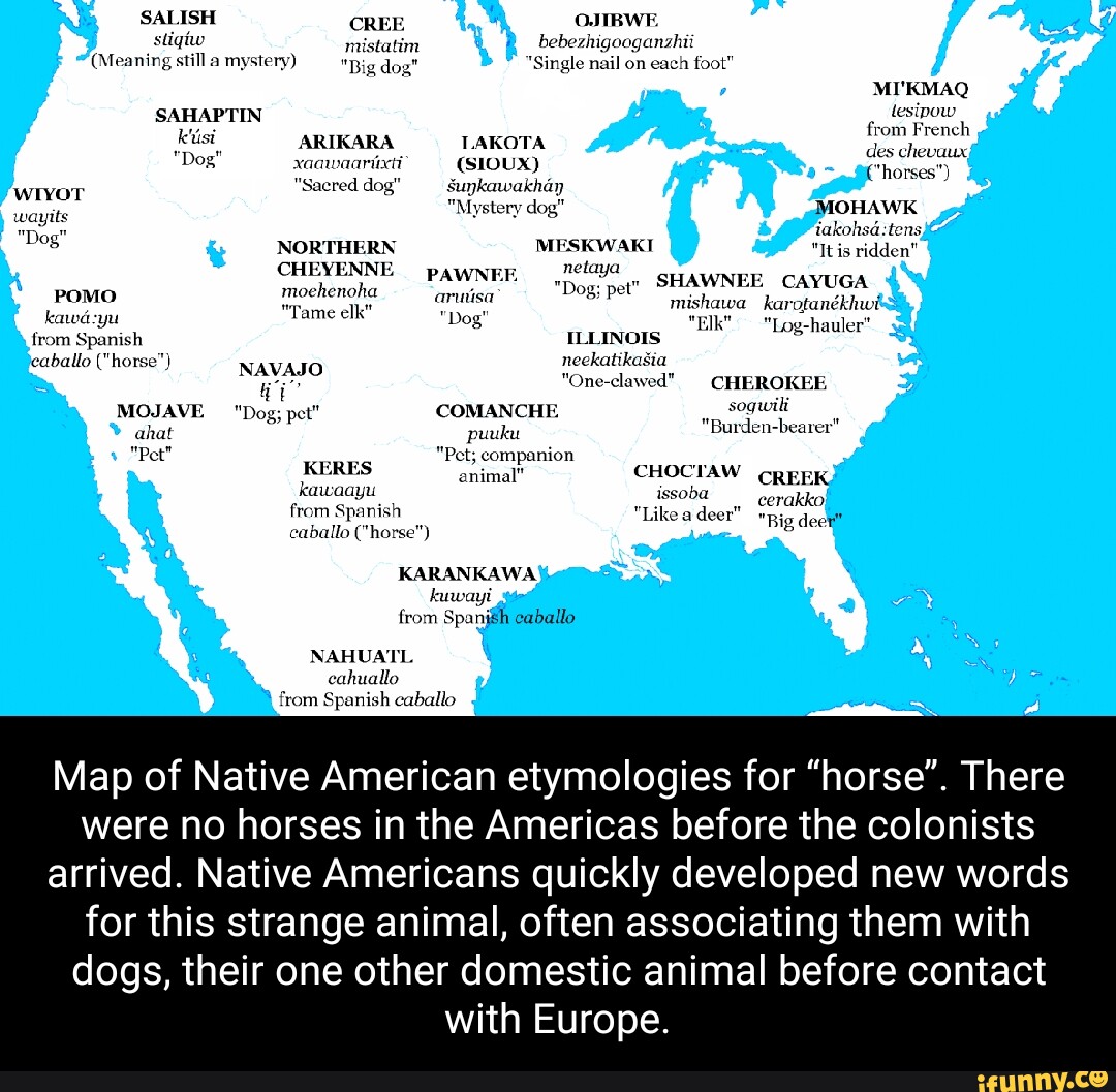 SALISH CREE OJTRWE stigho mistatirn bebezhigooganzhii (Meaning still