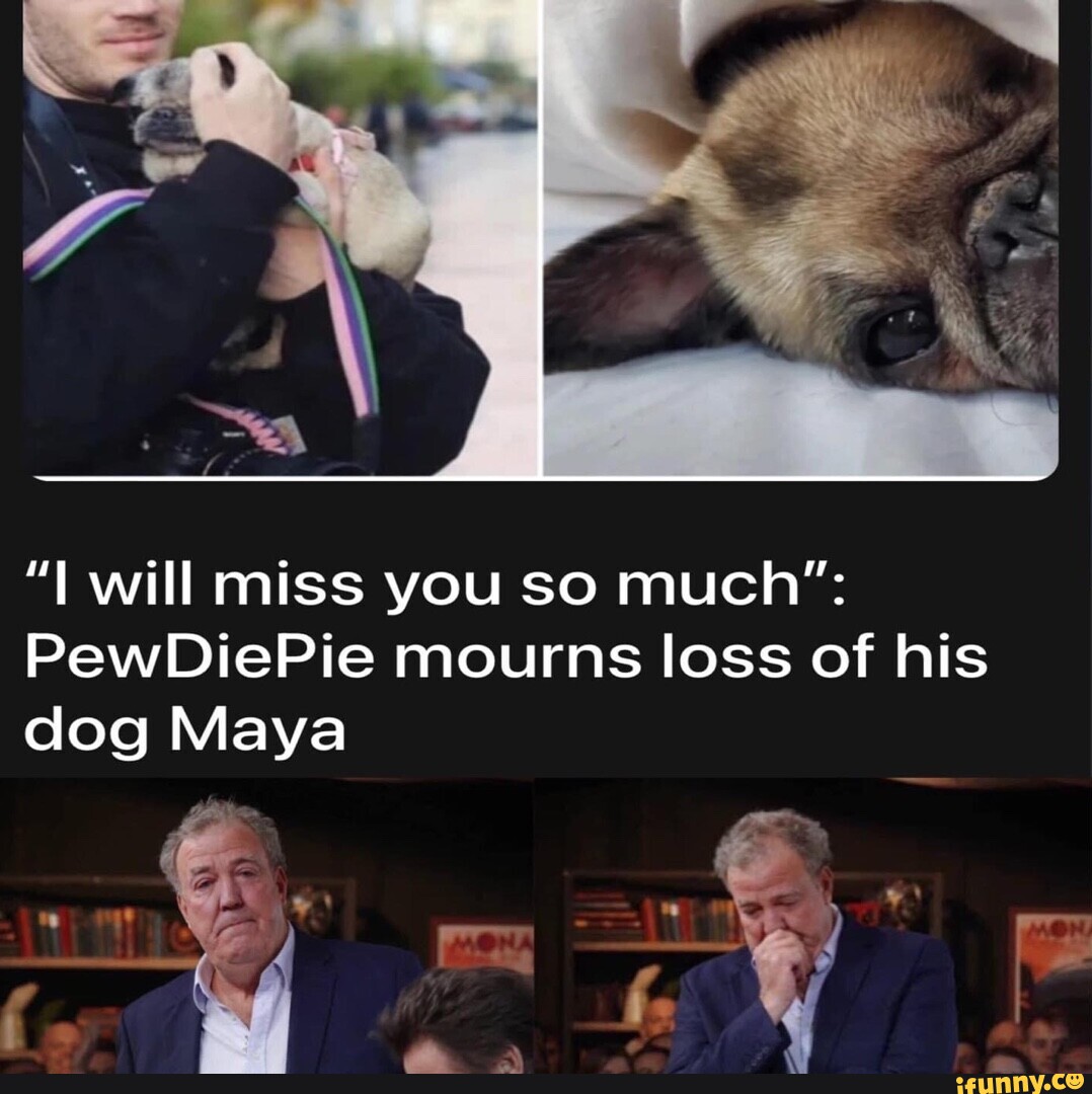 puppy meme i miss you