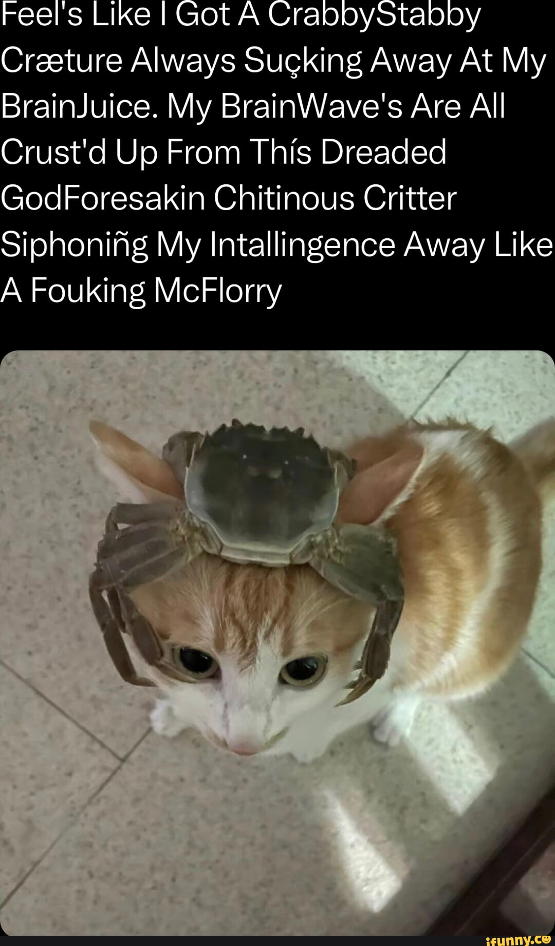 Siphoning memes. Best Collection of funny Siphoning pictures on iFunny