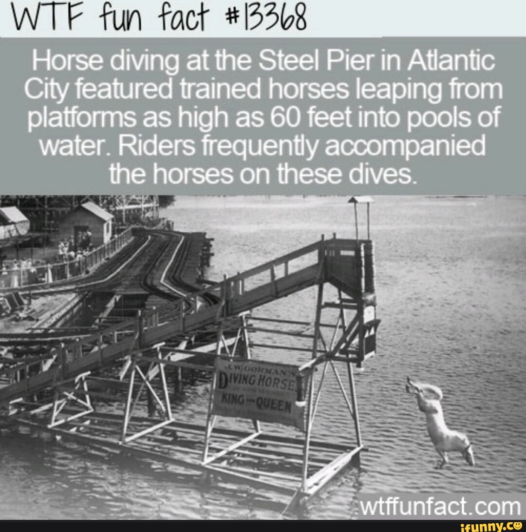 WTE fun fact Horse diving at the Steel Pier in Atlantic Cry featured
