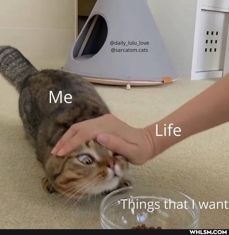 @daily july _love
Me
Life
went