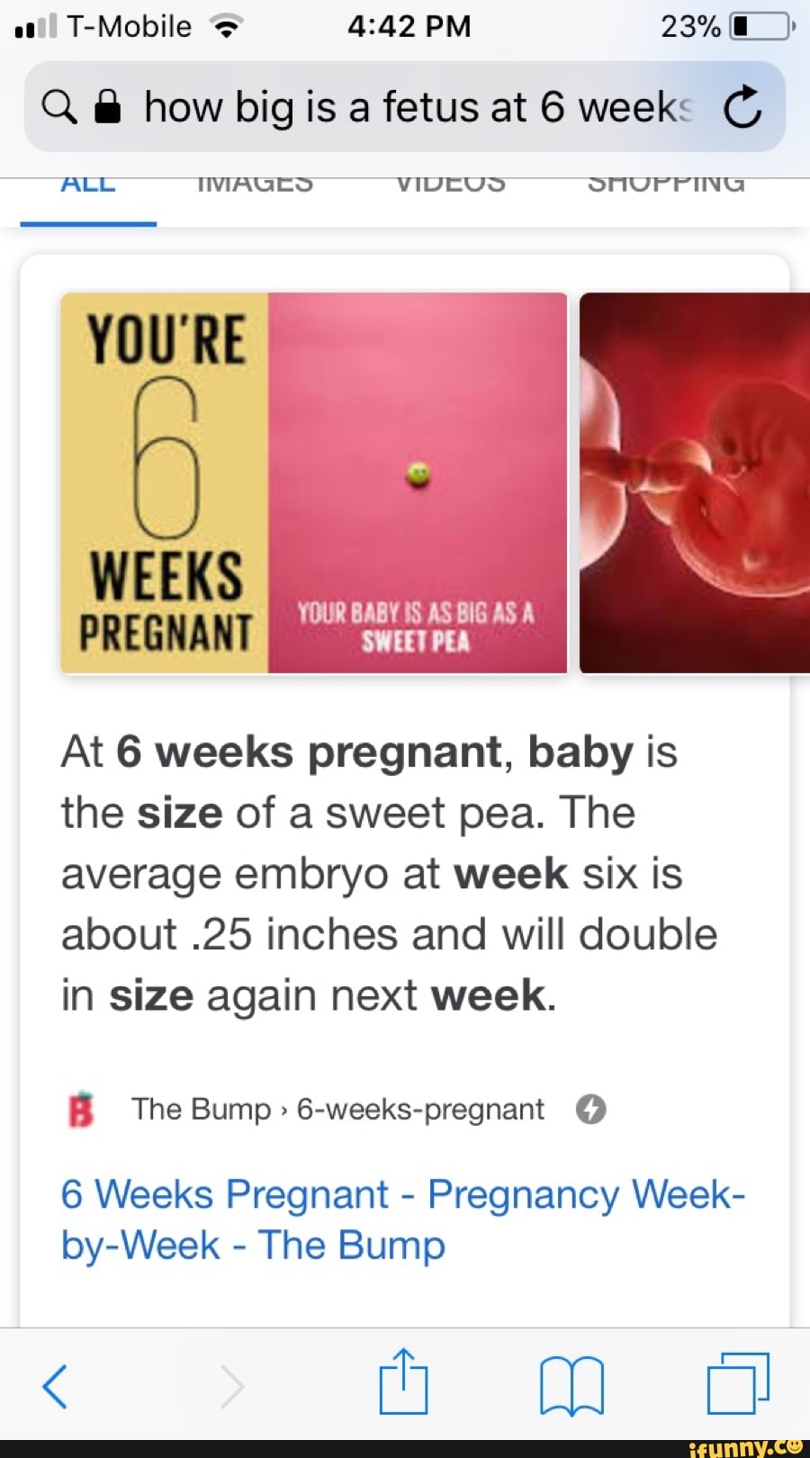 Q And How Big Is A Fetus At 6 Weeks C Youre At 6 Weeks Pregnant Baby Is