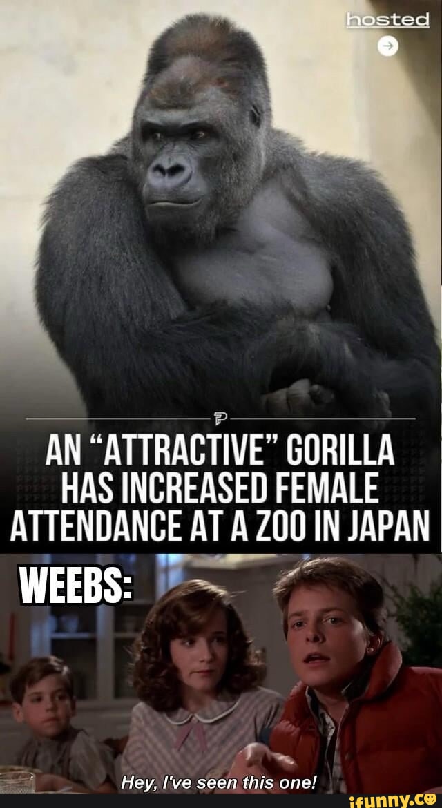 Nested memes. Best Collection of funny Nested pictures on iFunny