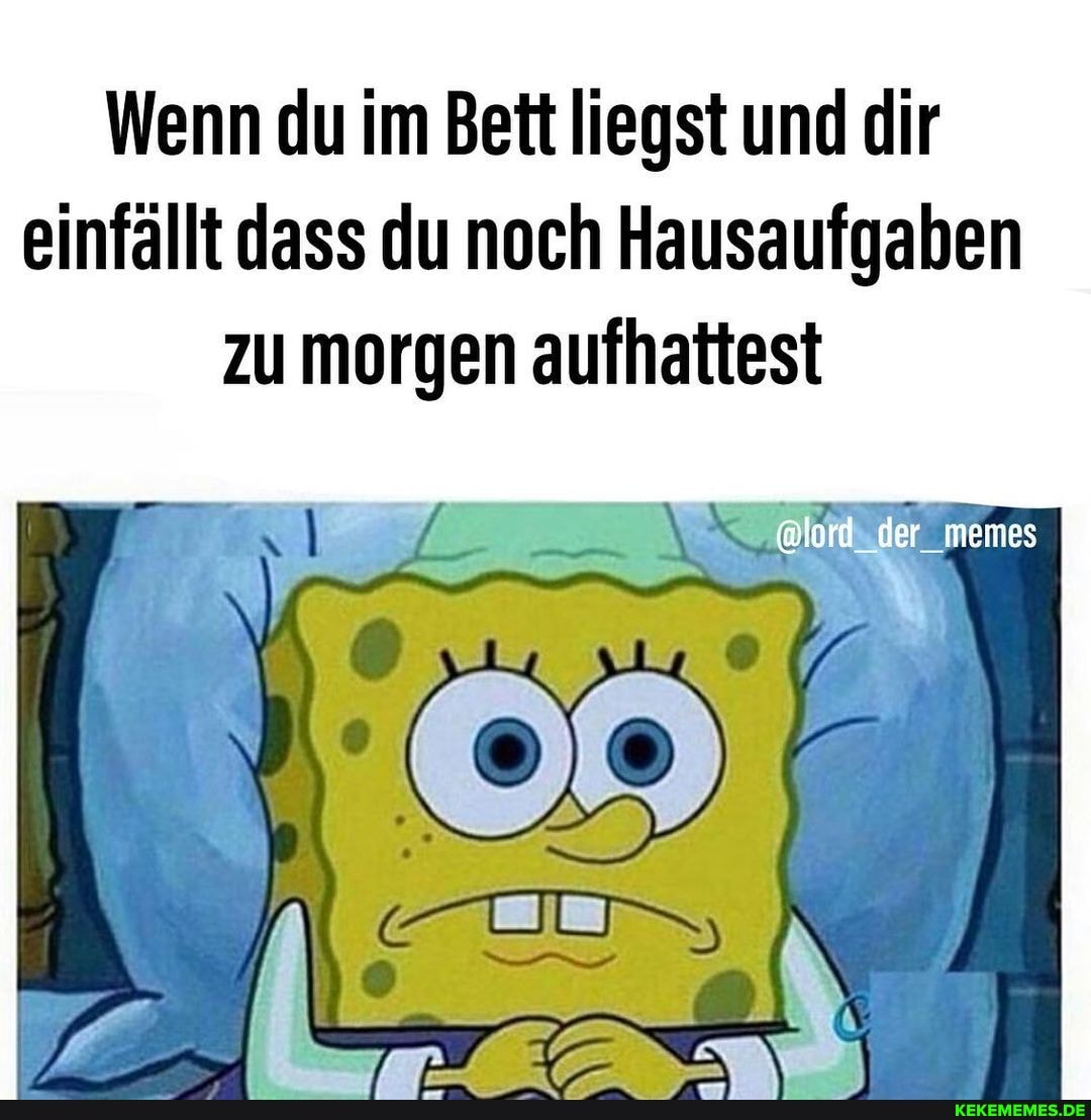 Wenn du im Bett liegst und dir einfällt dass du noch Hausaufgaben zu morgen aufhattest
@lord_der_memes