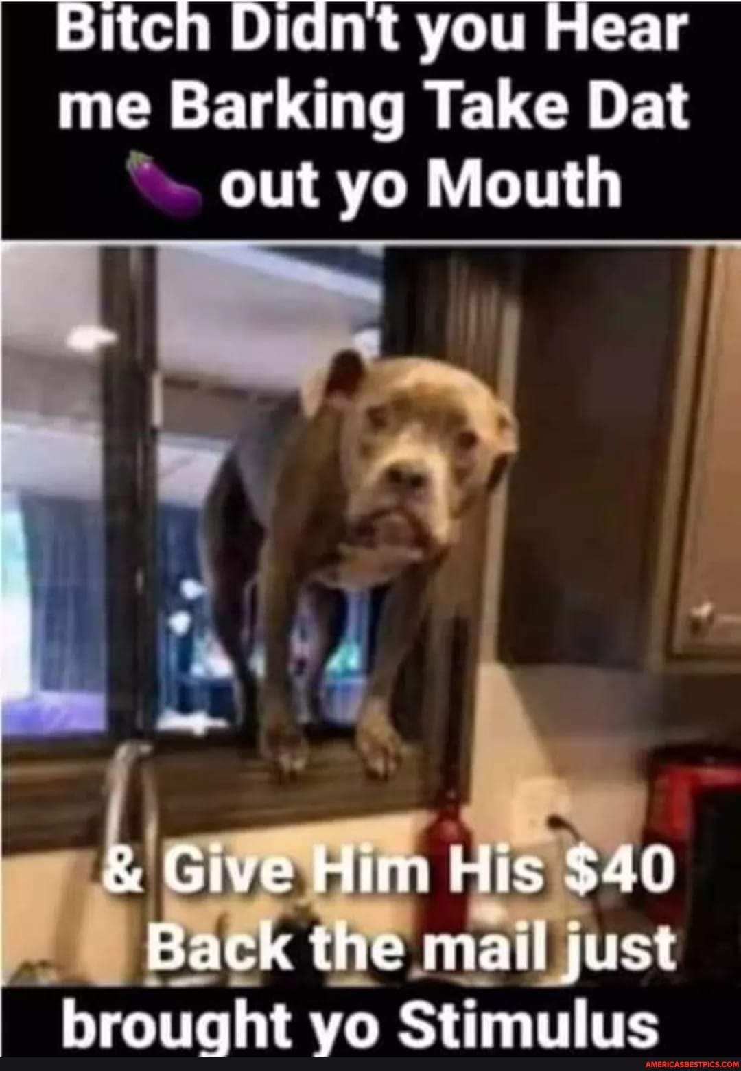 Bitch Didnt you Hear me Barking Take Dat out yo Mouth
& Give Him His Sal
Back the mail just brought yo Stimulus