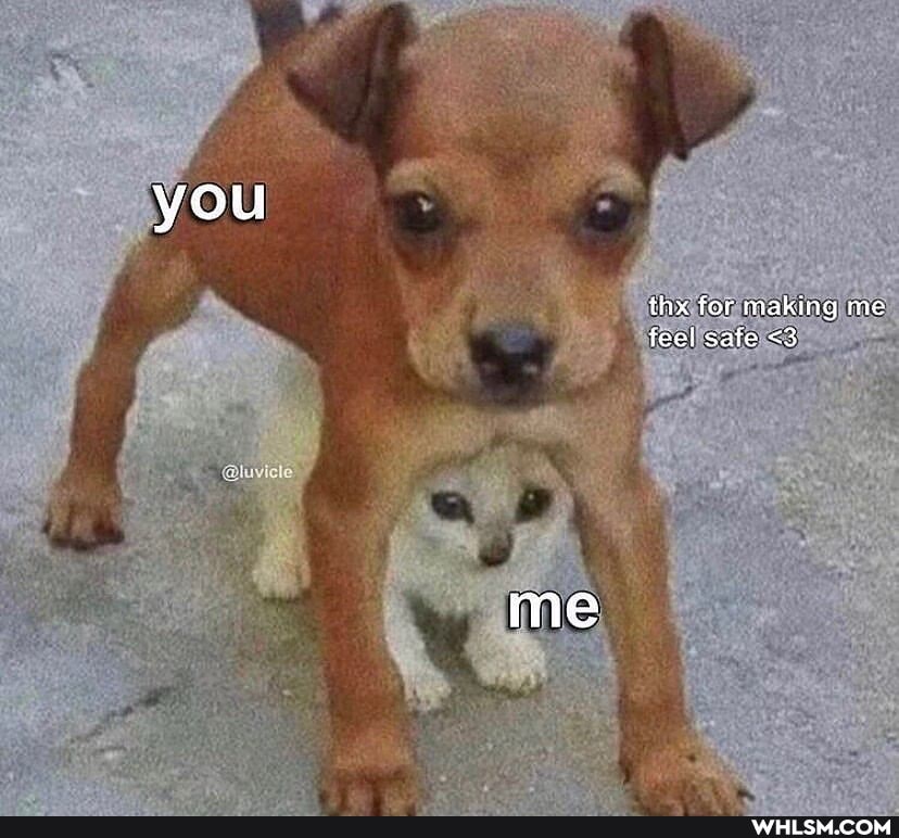 you
thx fer making me feel safe <3
me
