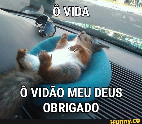 0 VIDAO
MEU 3
OBRIGAD
DEU
OS
