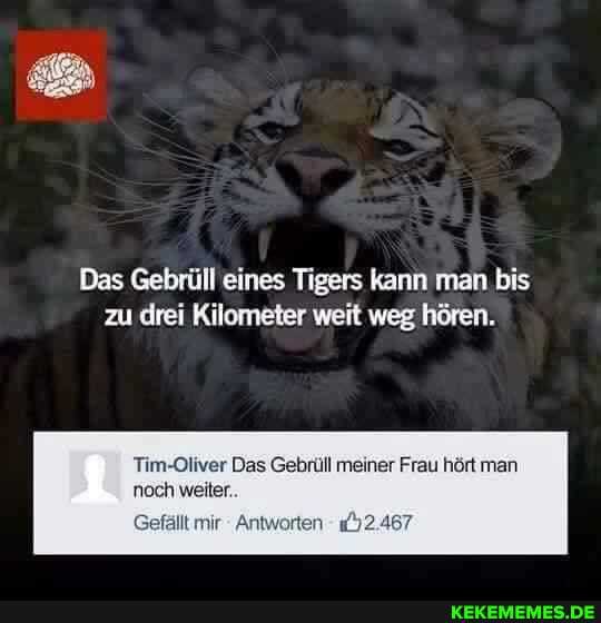 Das Gebrüll eines Tigers kann man bis zu drei Kilometer weit weg hören.
Tim-Oliver Das Gebrüll meiner Frau hört man
noch weiter.
It mir Antworten