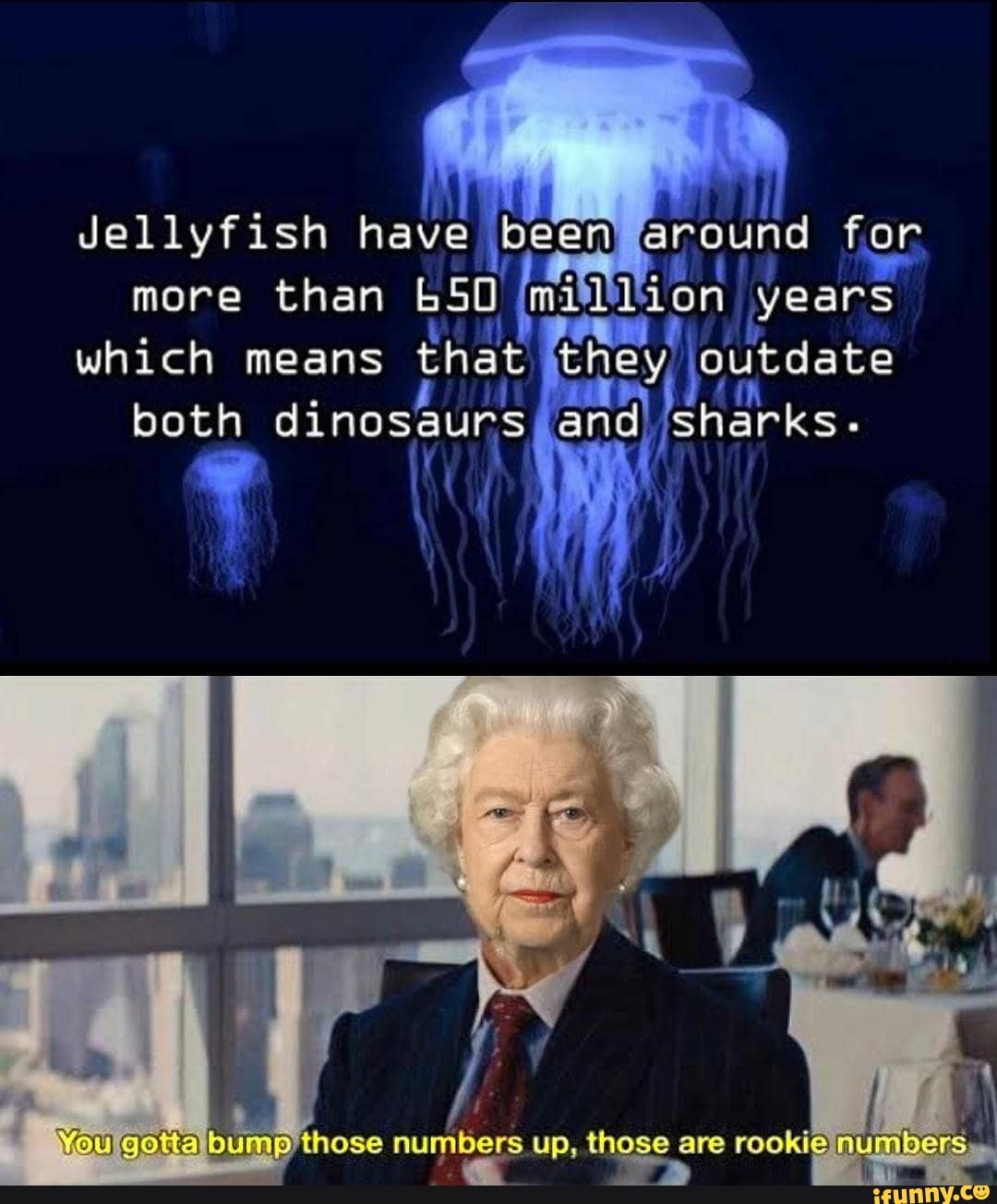 Jellyfish have been around flon more than years
which means that they, joutdate both dinosaurs and) sharks.