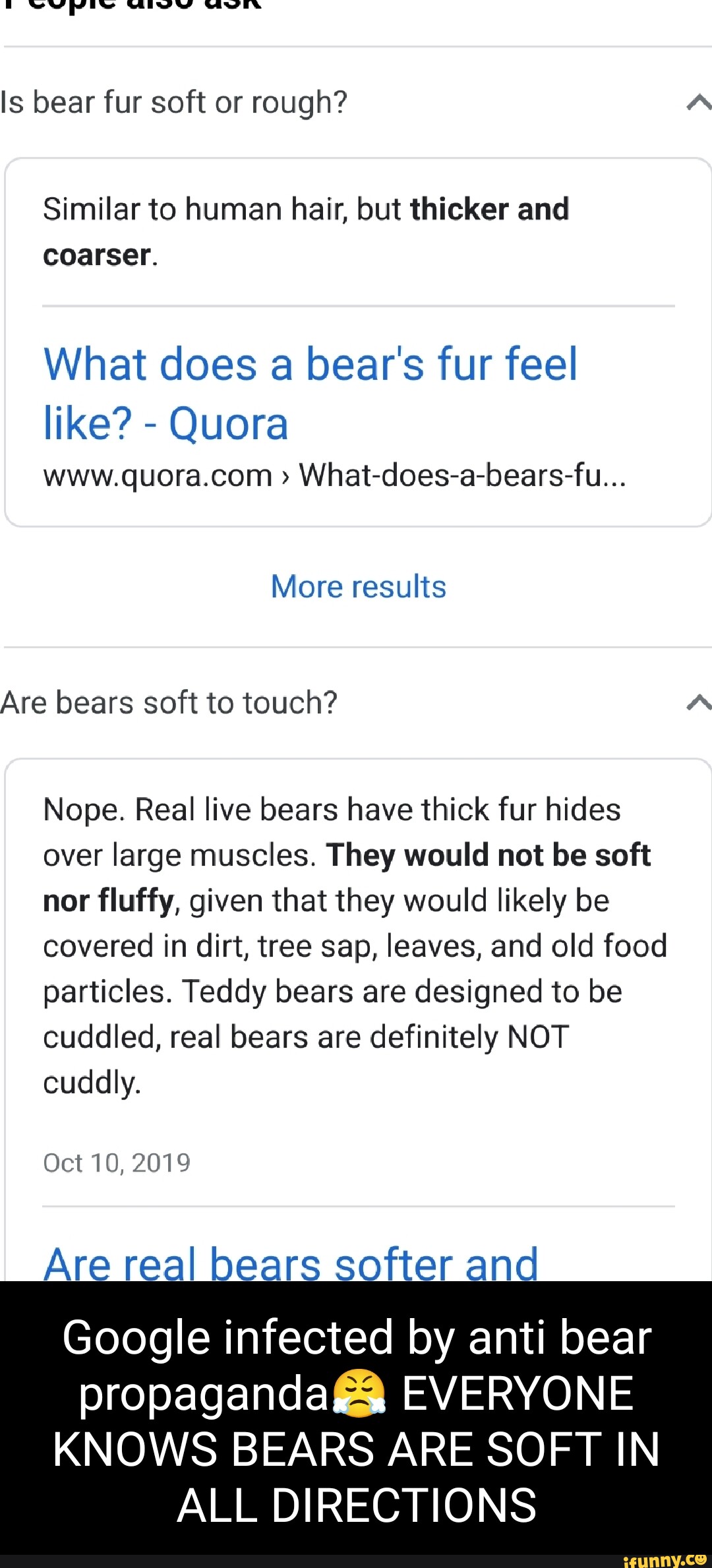 Is bear fur soft or rough? Similar to human hair, but thicker and