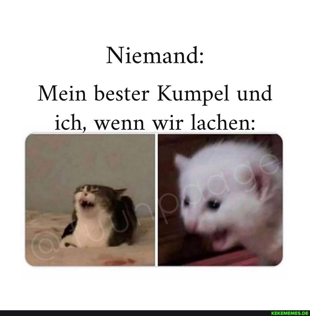 Niemand:
Mein bester Kumpel und ich, wenn wir lachen: