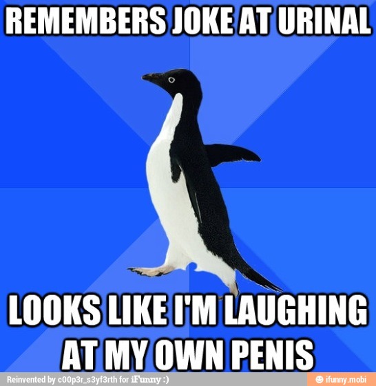 REMEMBERS JOKE'AT URINAL LOOKS LIKE ;M LAUGHING AT'MY OWN PENIS )