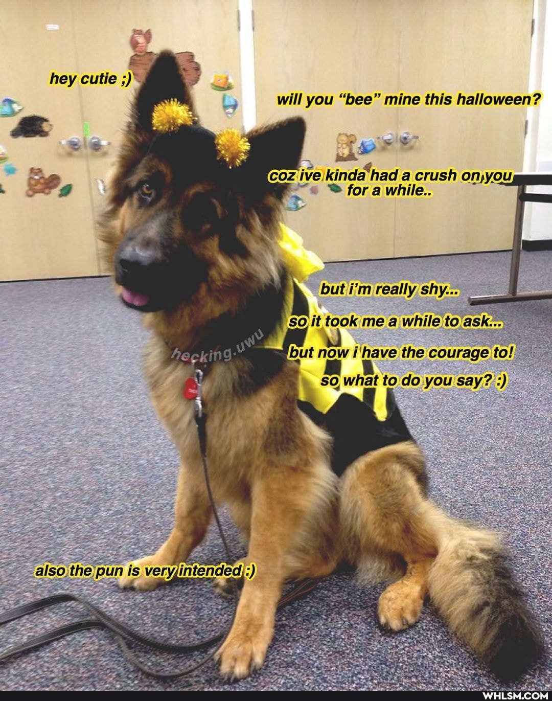will you "bee" mine this halloween?
coz ive Kinda'had a crush omyou, fora while..
buti'm really shy...
took me a while
but now i'have the courage so what to do .you say?