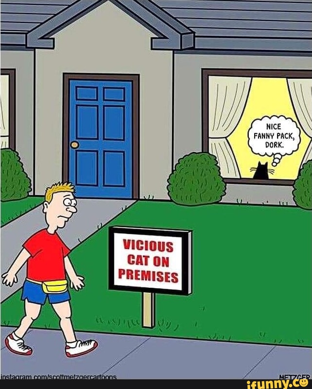 NICE FANNY PACK, DORK.