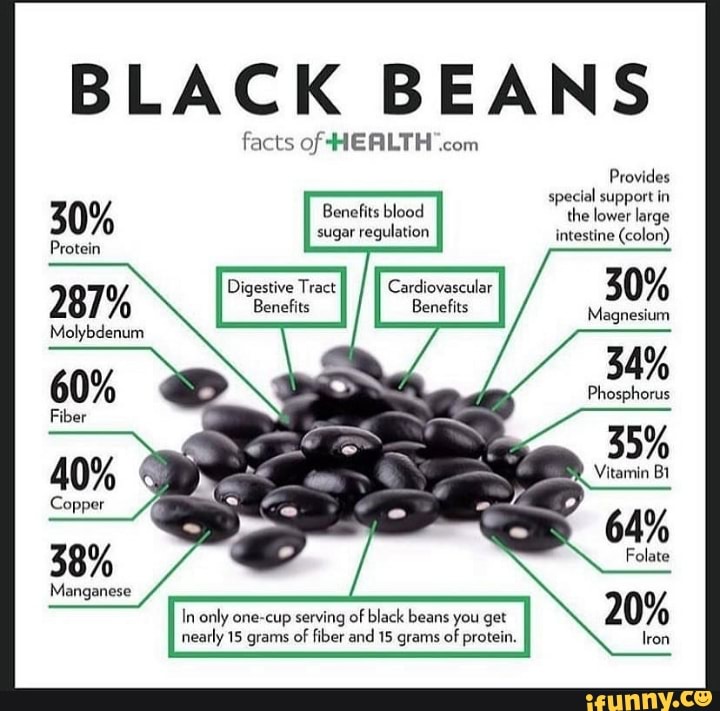 BLACK BEANS Protein Manganese Benefits blood sugar regulation In only ...