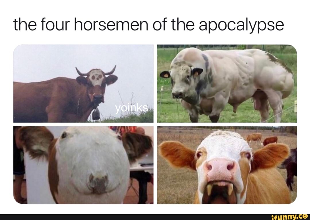 The four horsemen of the apocalypse - iFunny