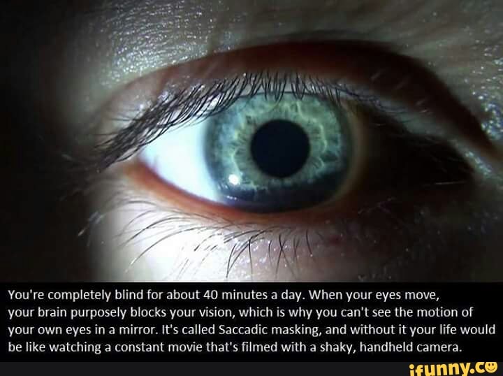 You're completely blind for about 40 minutes a day. When your eyes move ...