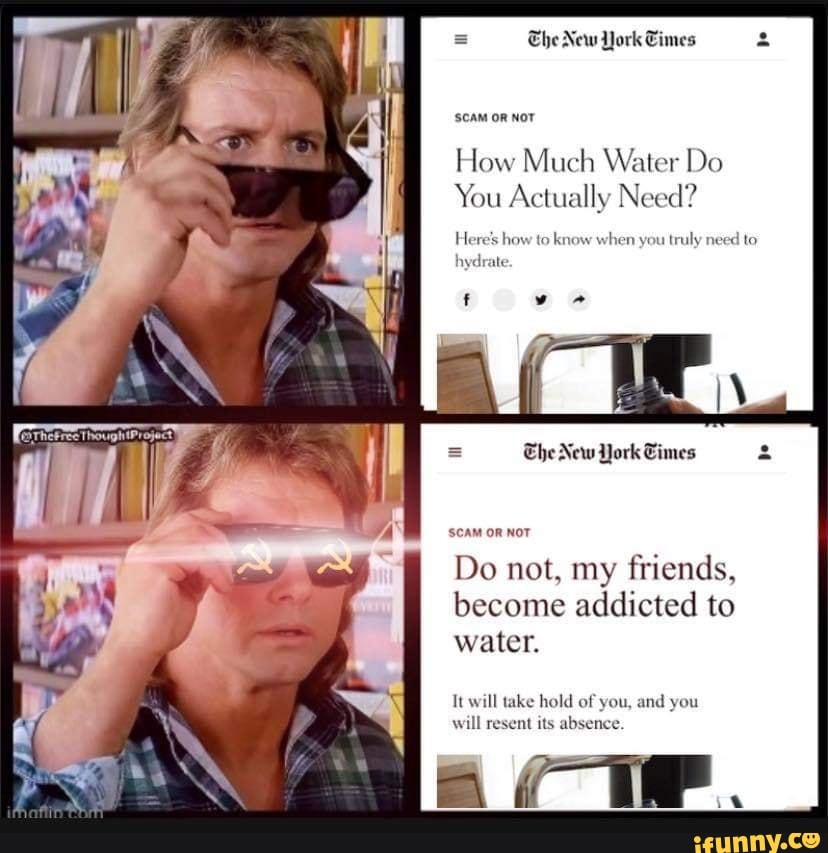 The New dork SCAM OR NOT How Much Water Do