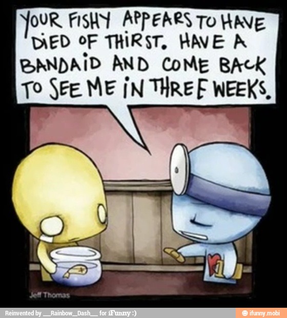 JOUR FISHY APPEARS To HAVE
DIED OF THIRST, HAVE A
Pa SYN AND _CoME BACK
To SEE ME ¡N THREF WEEKS,