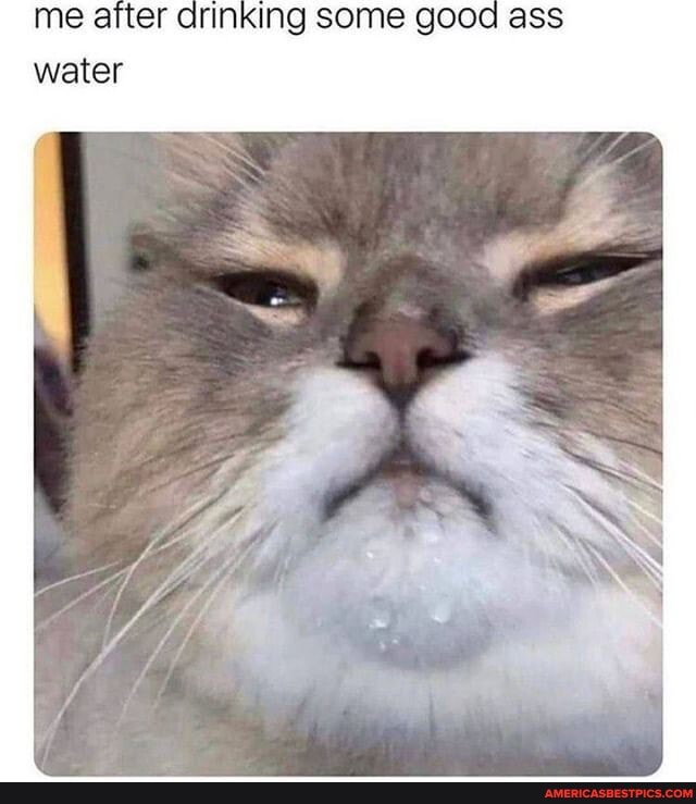 me arter drinking some good ass
welter