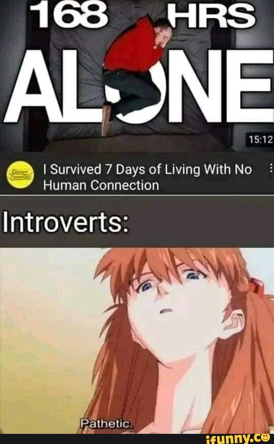 ALONE I Survived 7 Days of Living With No : Human Connection Introverts ...