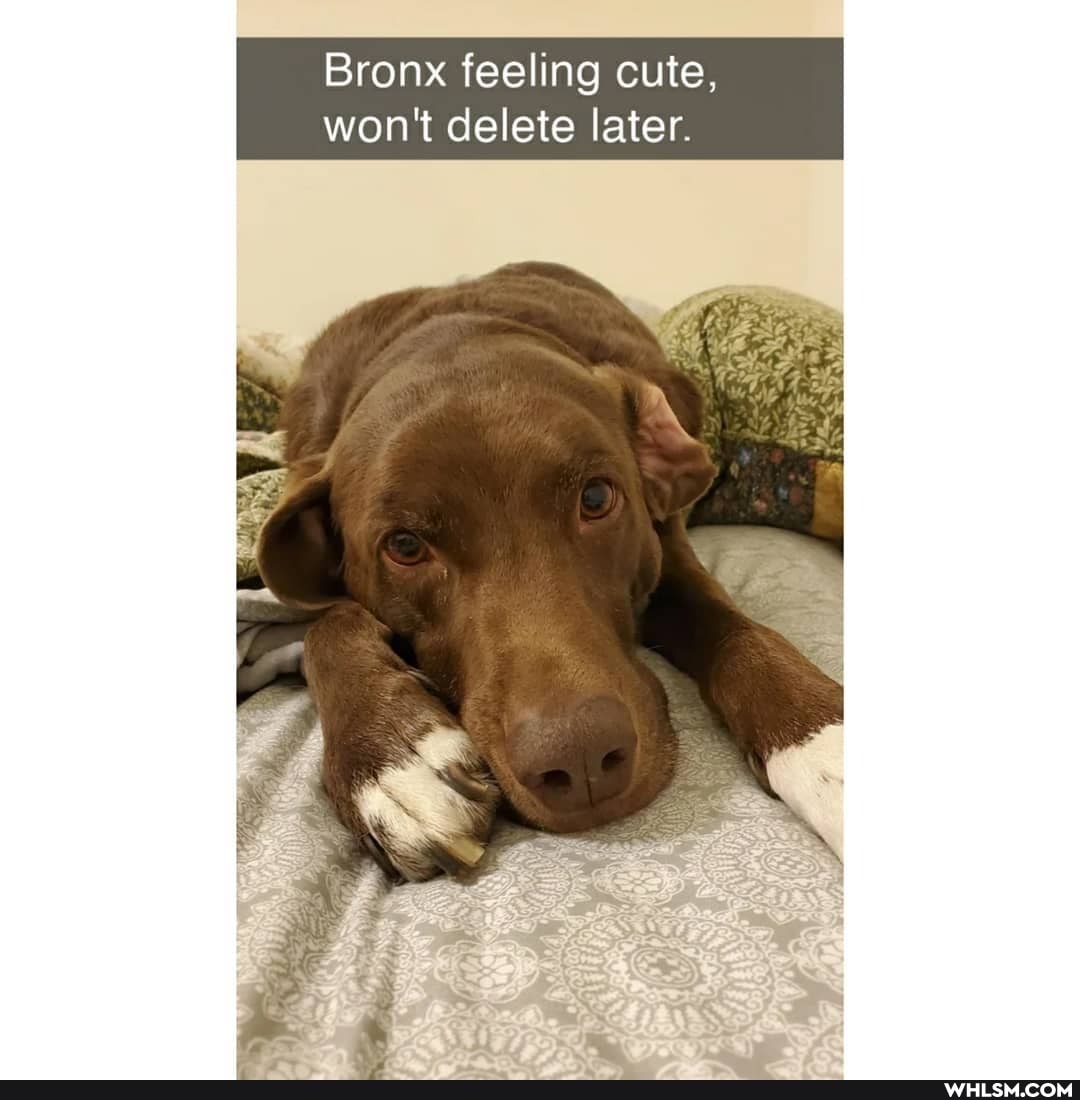 Bronx feeling cute, won't delete later.