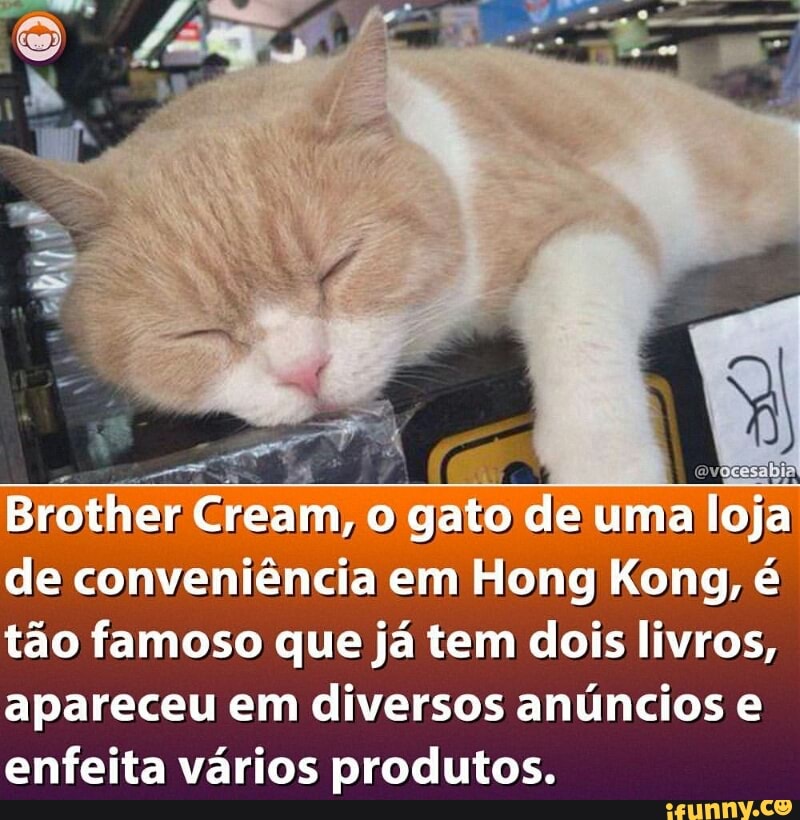 tão famoso que já tem dois livros,
apareceu em diversos anúncios e
enfeita vários produtos.