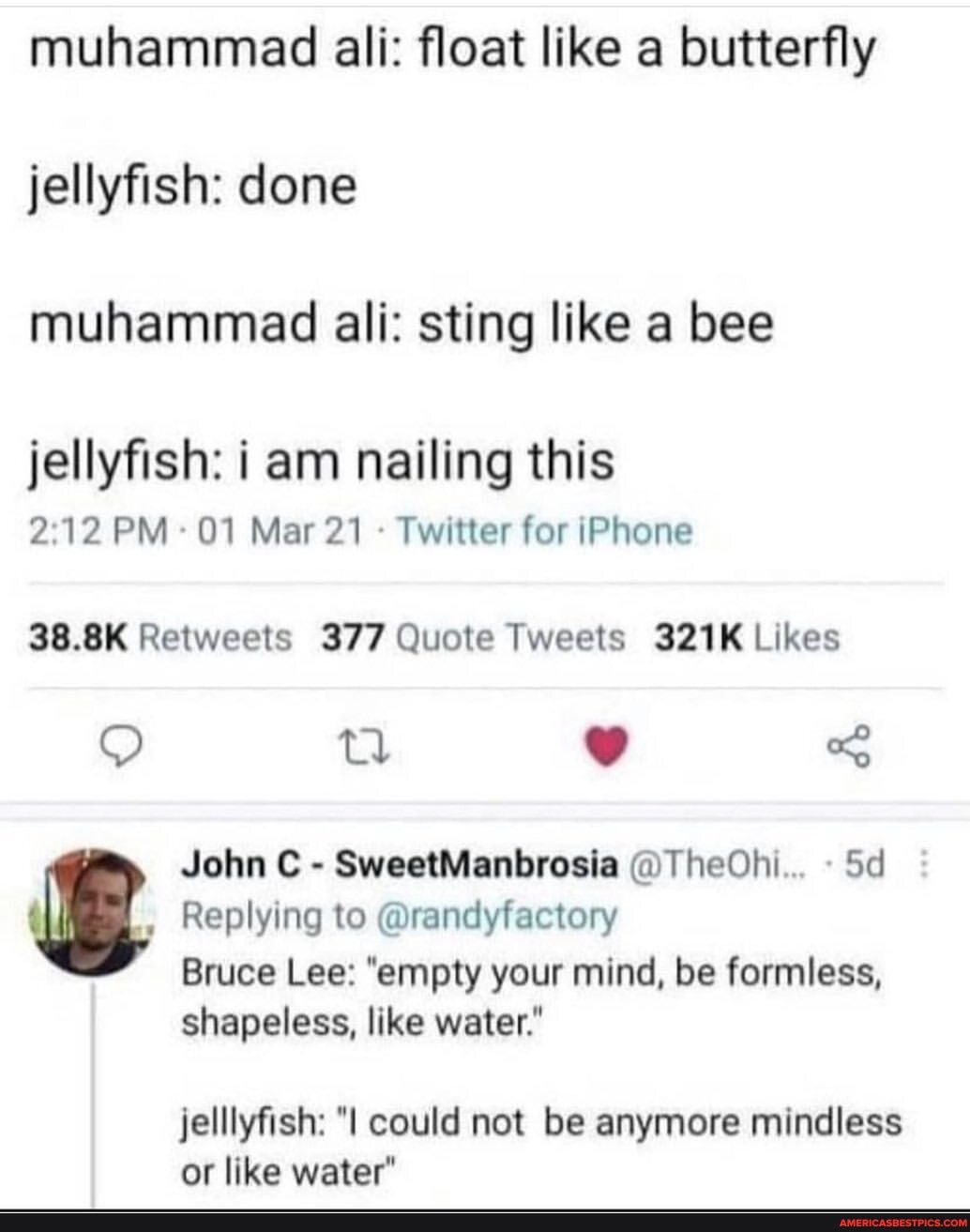 Muhammad Ali Float Like A Butterfly Jellyfish Done Muhammad Ali Sting Like A Bee Jellyfish I