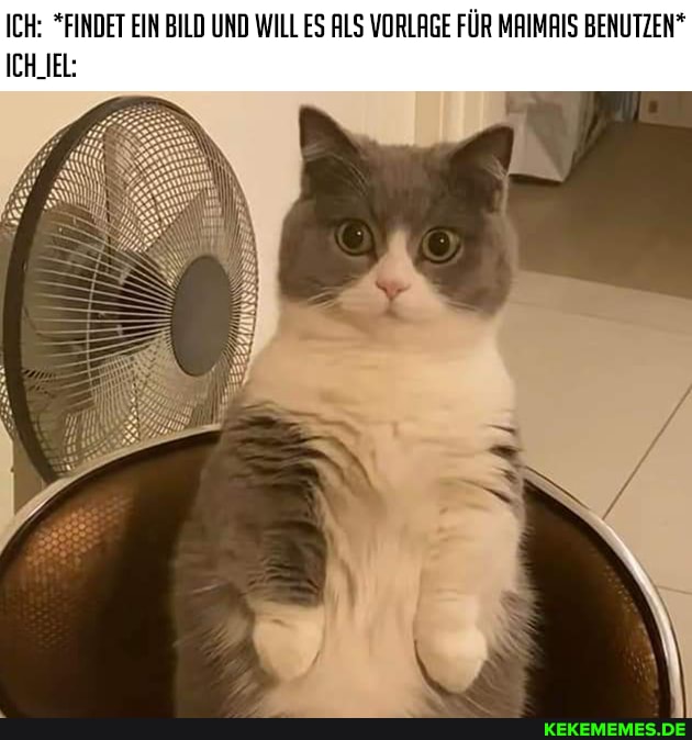 ICH: *FINDET EIN BILD UND WILL ES ALS VORLAGE FÜR MAIMRIS BENUTZEN*
ICH_IEL: