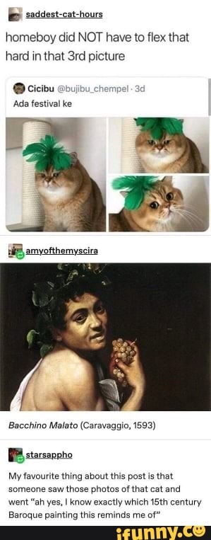 cat homeboy did NOT have to flex that hard in that picture
@ Cicibu @bujibu_chempel
'Ada festival ke
Bacchino Malato (Caravaggio, 1593)
PB xtarsappho
My favourite thing about this post is that someone saw those photos of that cat and went "ah yes, I know exactly which 15th century
Baroque painting this reminds me of"