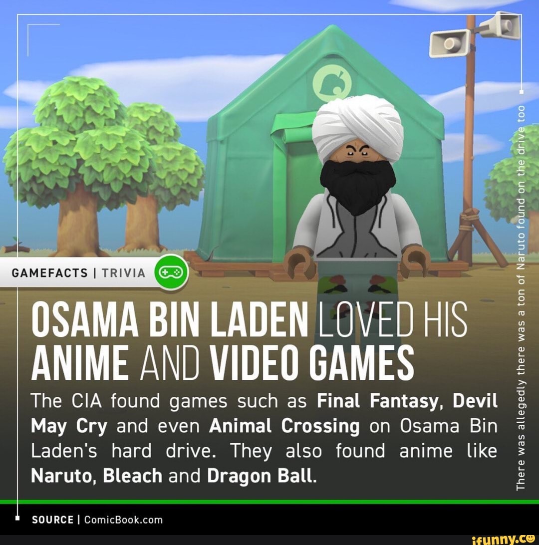 N LADEN ANIME AND VIDEO GAMES The CIA found games such as Final Fantasy