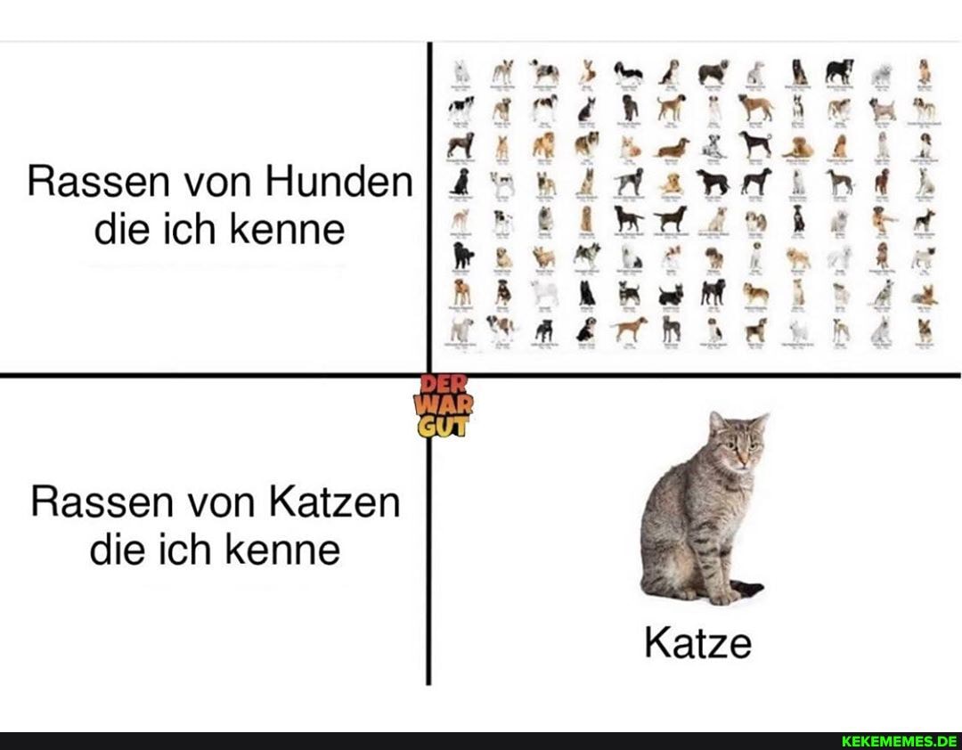 Rassen von Hunden die ich kenne
Rassen von Katzen
die ich kenne
Katze