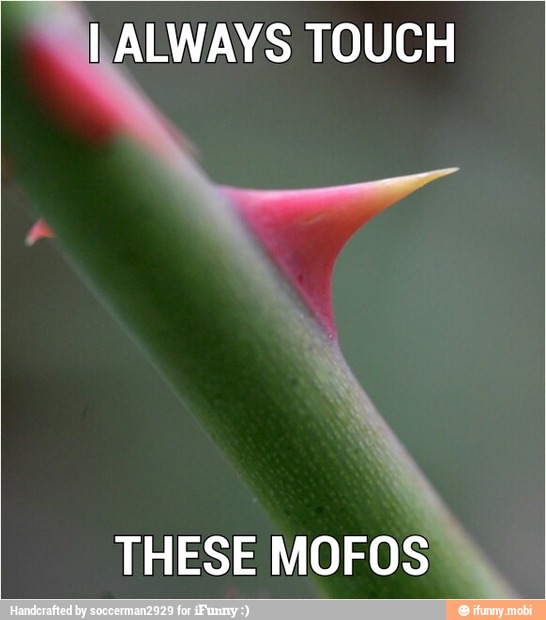 ALWAYS TOUCH