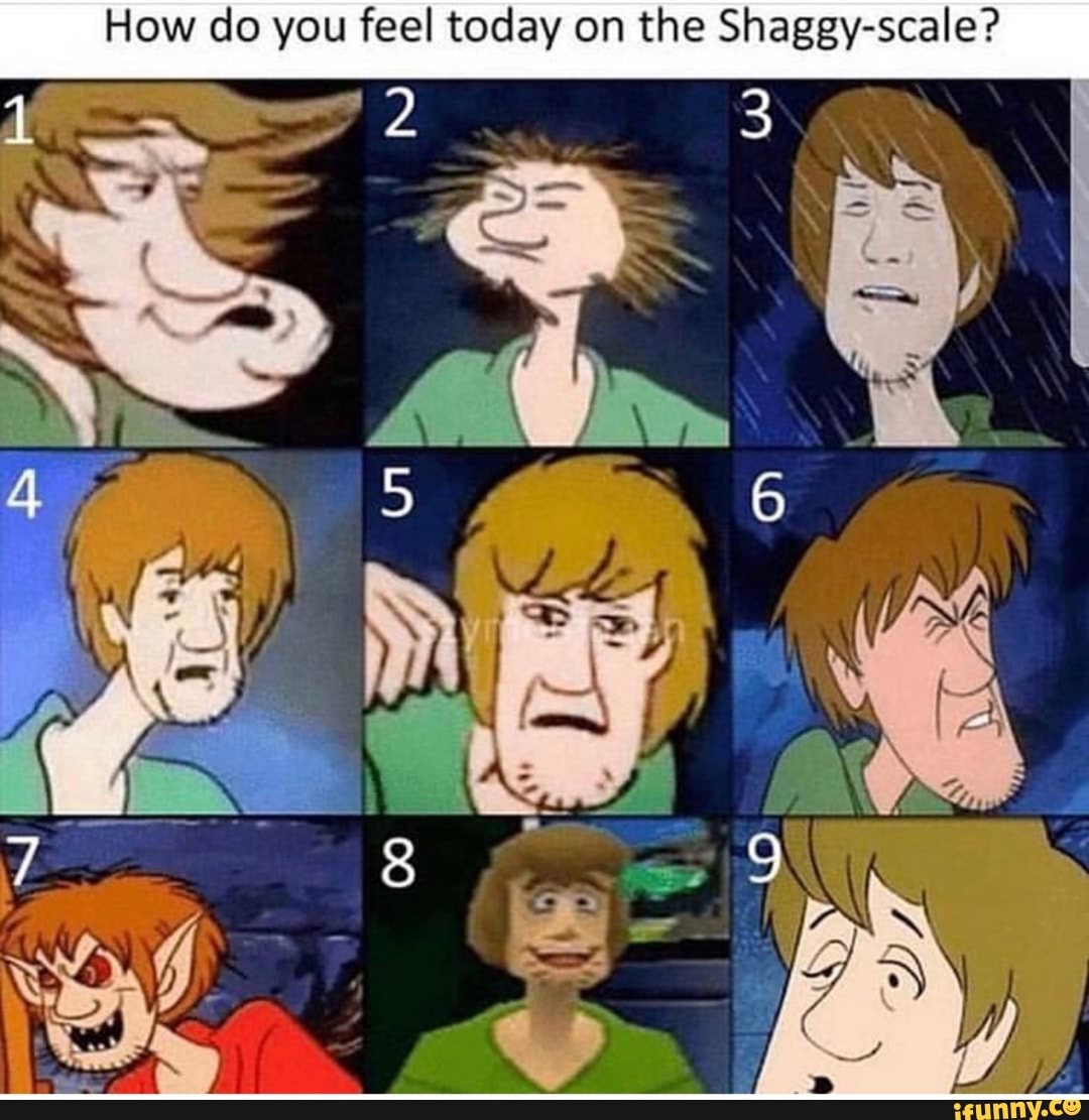 How Do You Feel Today On The Shaggy Scale Ifunny