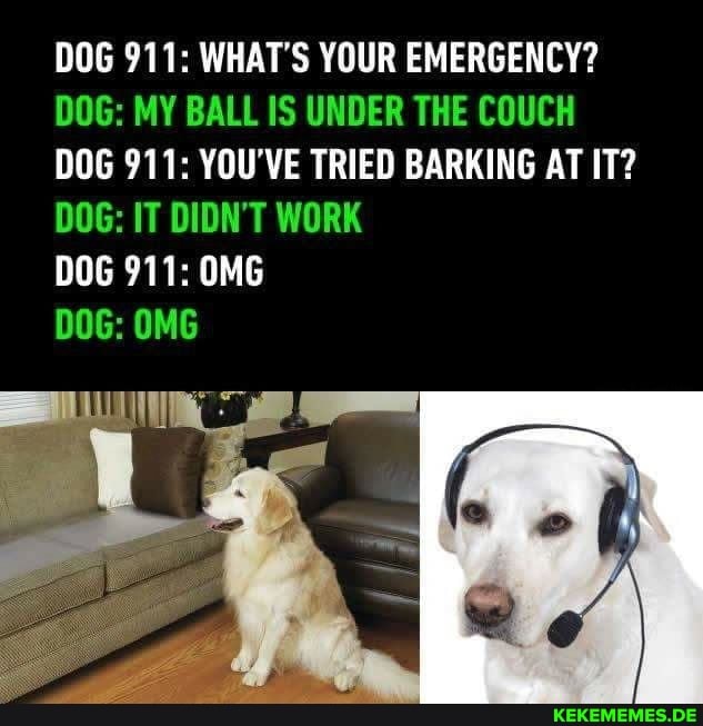 DOG 911: WHAT'S YOUR EMERGENCY?
DOG: MY BALL IS UNDER THE COUCH DOG 911: YOU'VE TRIED BARKING AT IT?
DOG: IT DIDN'T WORK
DOG 911: OMG
DOG: OMG