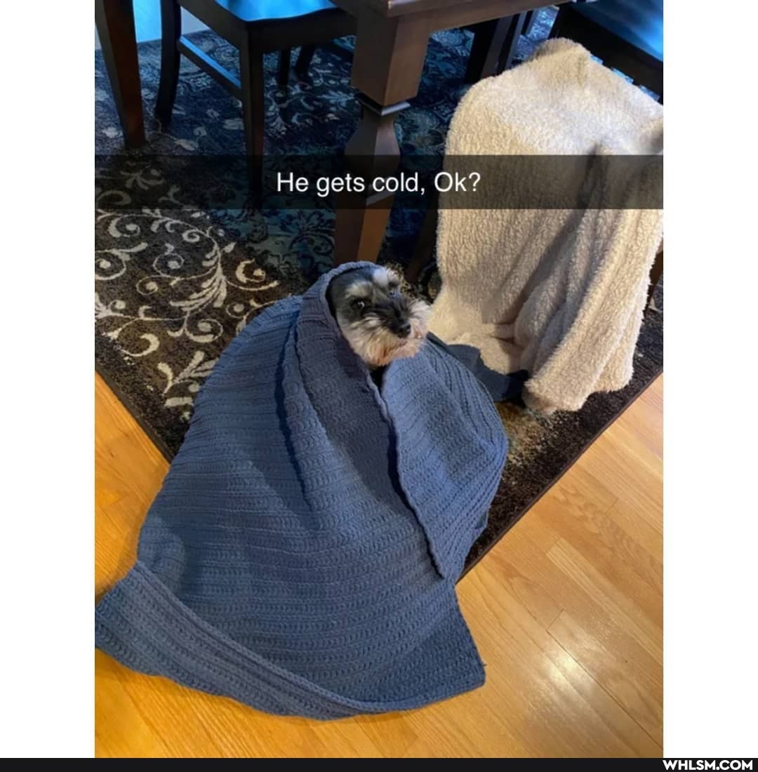 He acis cold, Ok?