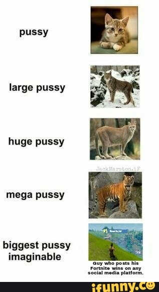 What A Big Pussy