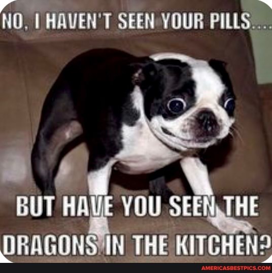 NO, HAVEN'T SEEN YOUR PILLS...
BUT HAWE YOU SEEN .THE DRAGONSTIN THE KITCHEN?
