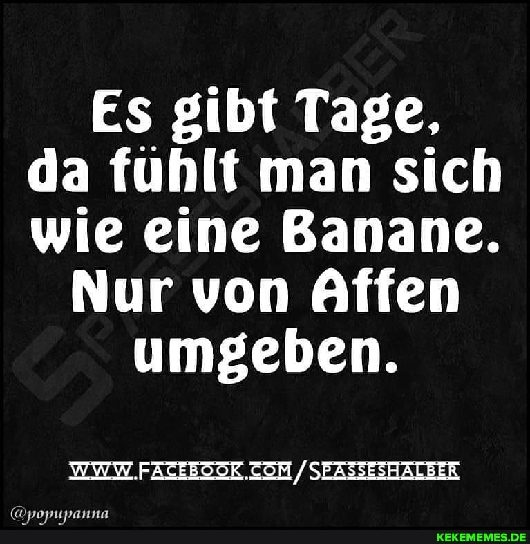 Es gibt Tage, da fuhlt man sich wie eine Banane.
Nur von Affen umgeben.
WWW. .FACEBOOK /SEASSESH ALBER