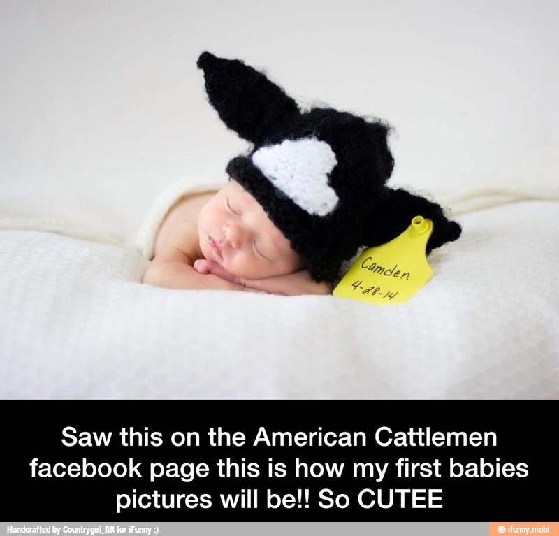 Saw this on the American Cattlemen
facebook page this is how my first babies
pictures will be!! So CUTEE - Saw this on the American Cattlemen facebook page this is how my first babies pictures will be!! So CUTEE