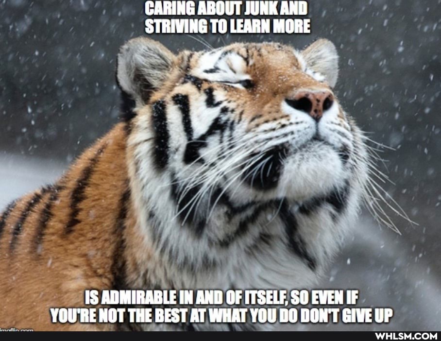 CARING ABOUT JUNK AND
STRIVING TO LEARN MORE
(SS AD MIRABLE IN AND OF ITSELF, SO EVEN IF VOU'RE NOT THE BEST AT WHAT YOU DO DON'T CIVE