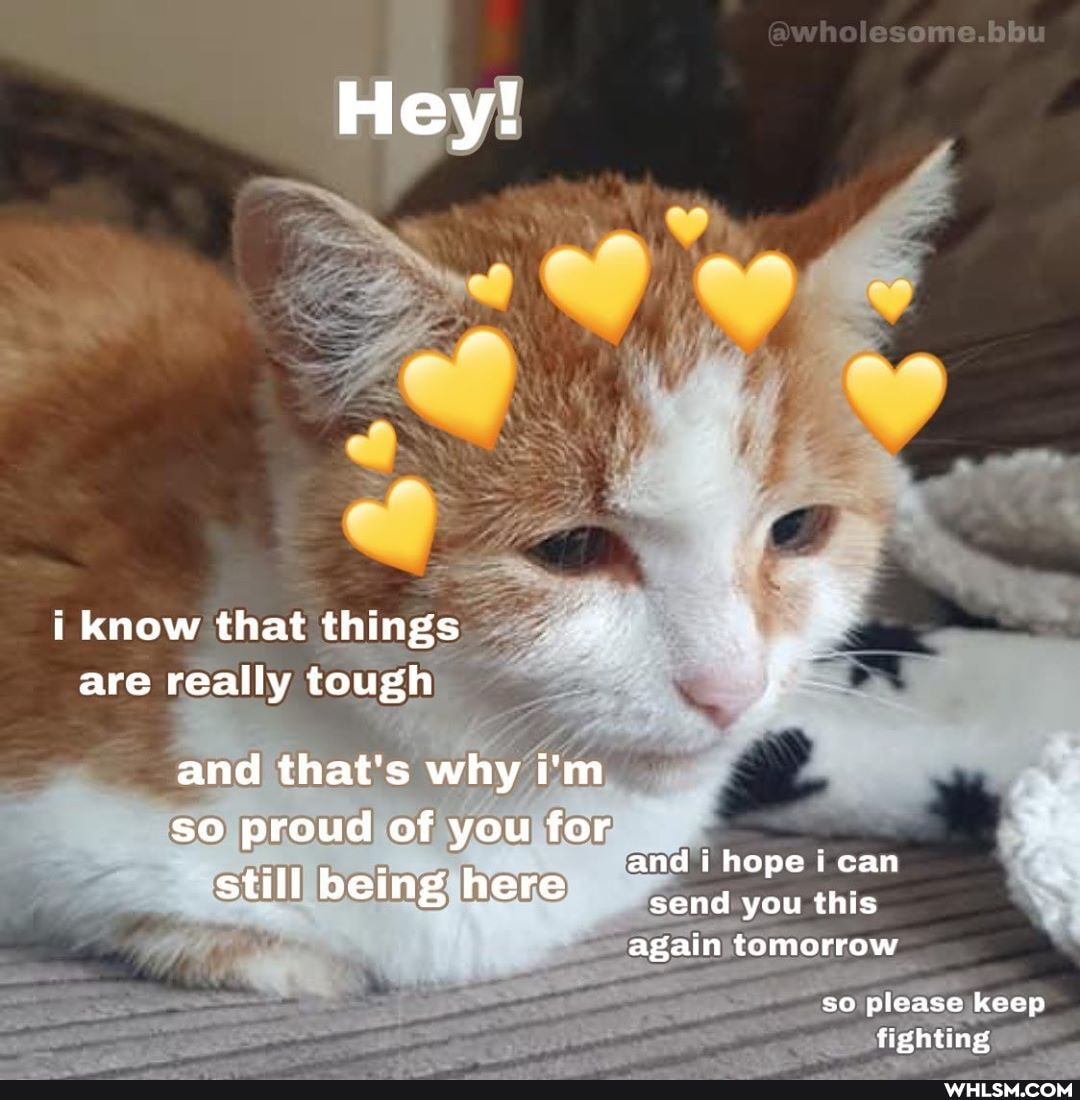 Hey!
i know that things are really tough
and that's why i'm so proud of you for
and i hope i can send you this still being here
send you this again tomorrow
so please keep fighting