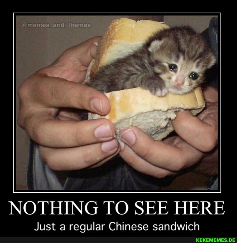NOTHING TO SEE HER
Just a reaular Chinese sandwich