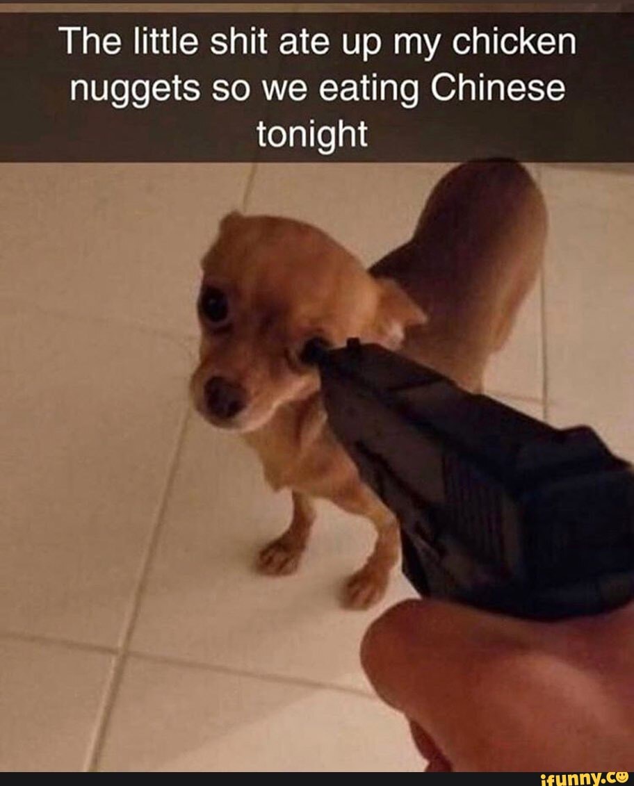 The little shit ate up my chicken nuggets so we eating Chinese tonight