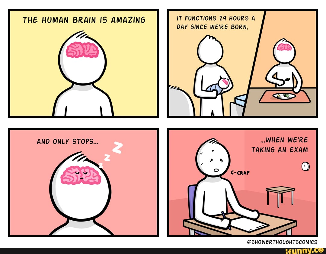 THE HUMAN BRAIN IS AMAZING AND ONLY STOPS... IT FUNCTIONS 24 HOURS A