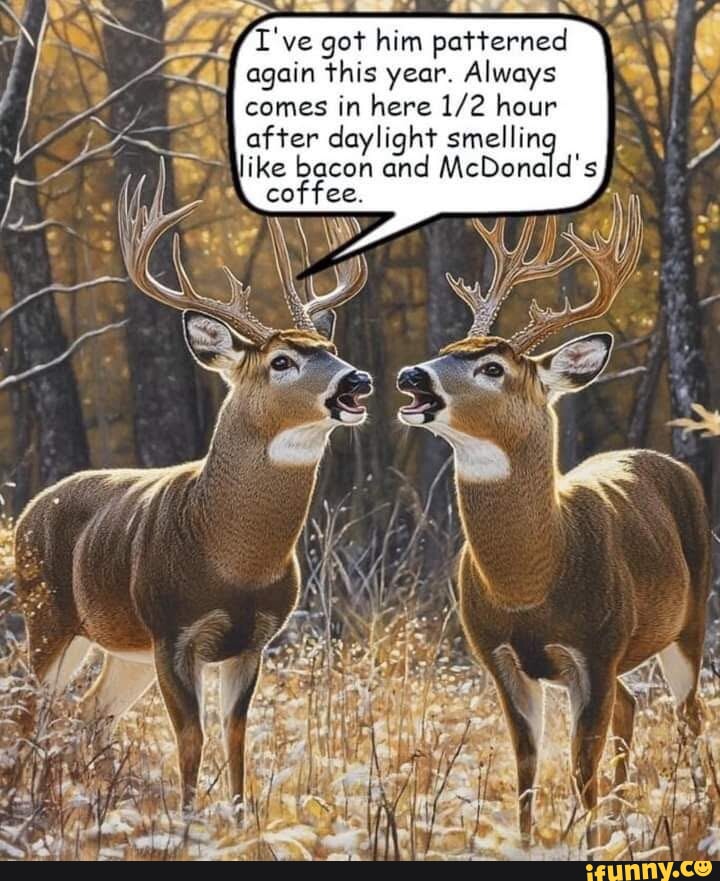 Bucks memes. Best Collection of funny Bucks pictures on iFunny