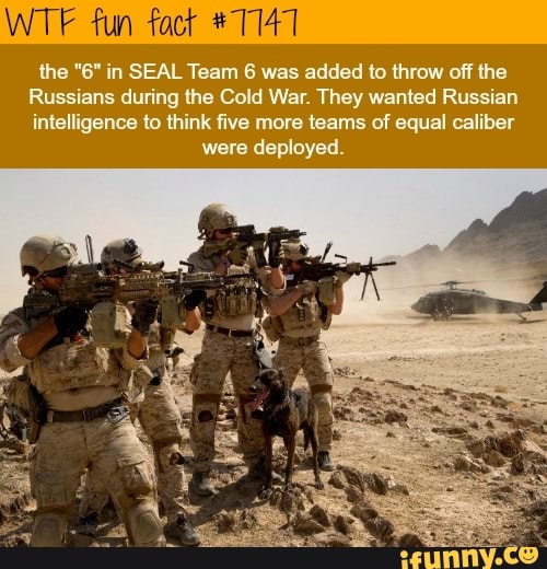 TE fun fact #1147 the 