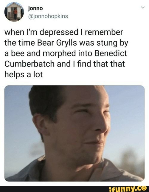 @onnchophins
when I'm depressed I remember the time Bear Grylls was stung by a bee and morphed into Benedict
Cumberbatch and I find that that helps a lot